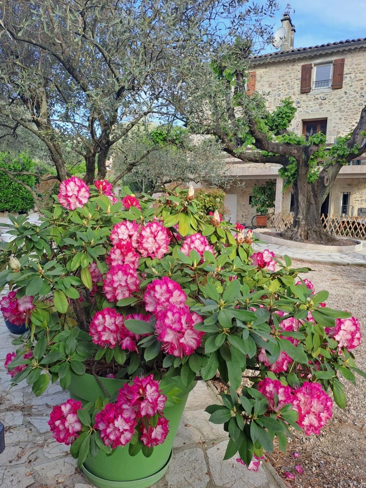 Gite 3 "Le Canal De Baza" Aux Magnolias Aubenas Luaran gambar