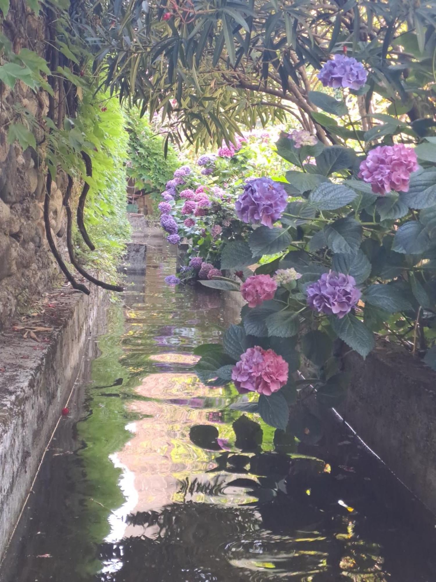 Gite 3 "Le Canal De Baza" Aux Magnolias Aubenas Luaran gambar