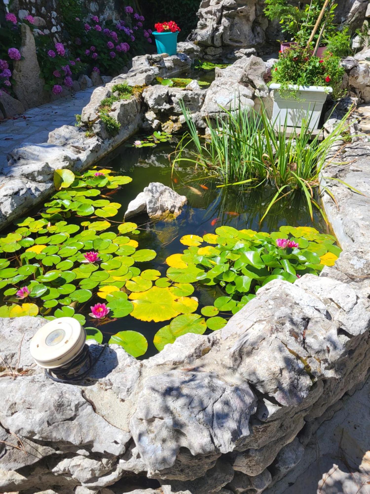 Gite 3 "Le Canal De Baza" Aux Magnolias Aubenas Luaran gambar