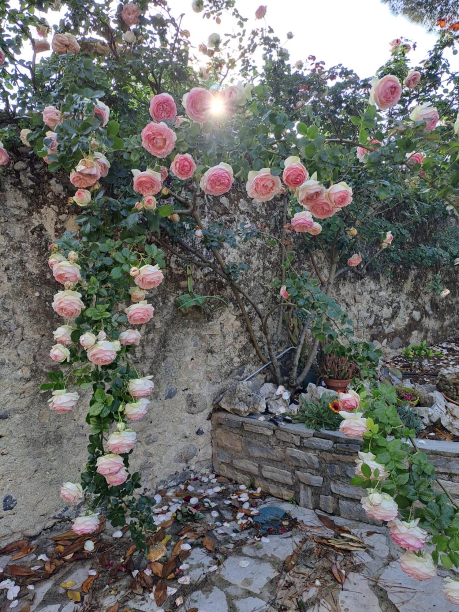 Gite 3 "Le Canal De Baza" Aux Magnolias Aubenas Luaran gambar