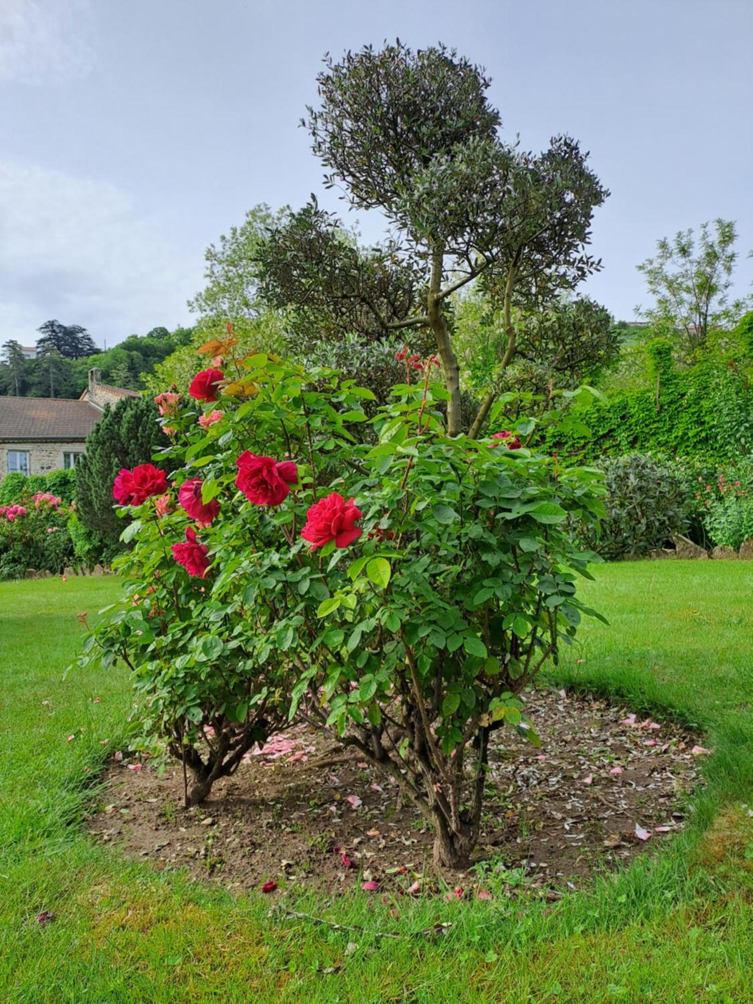 Gite 3 "Le Canal De Baza" Aux Magnolias Aubenas Luaran gambar